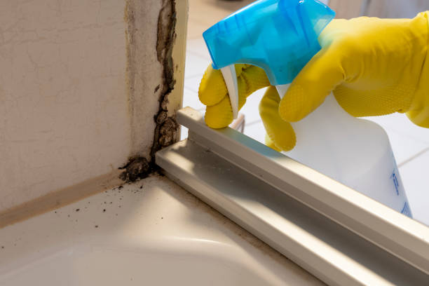 Best Industrial Mold Remediation in Mansfield, OH