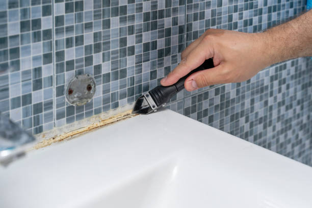 Mansfield, OH Mold Remediation Company